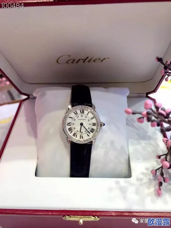 欧美性69式xxxx护士：最新动态揭示护士行业中的性别平等与职业挑战，关注护理人员的工作环境与心理健康问题