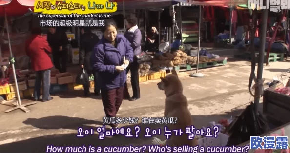 狗爷城中村国际在线观看：震撼来袭，超高人气引发热议，网友纷纷点赞狂欢！