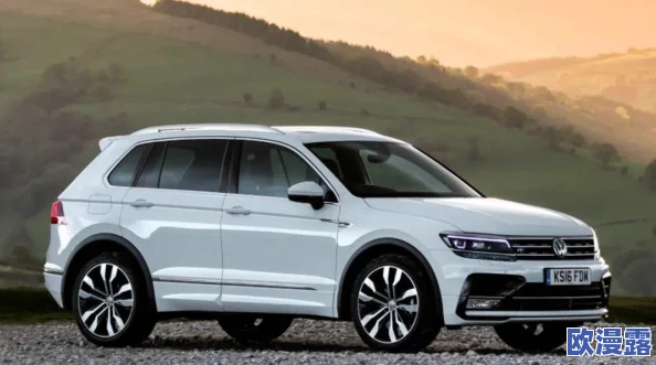 少国产精品ⅩX：震撼来袭，打破传统界限，引发观众热议与期待！