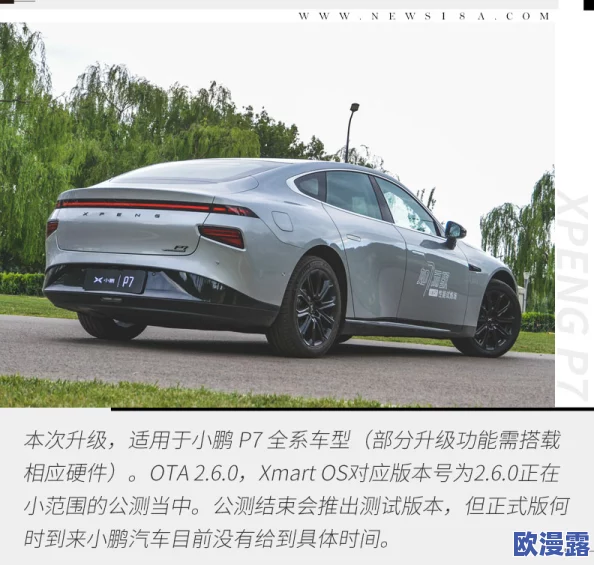 樱花官方网站immone用户：全新功能上线，提升您的使用体验与互动乐趣！