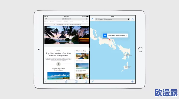 樱花官方网站immone用户：全新功能上线，提升您的使用体验与互动乐趣！