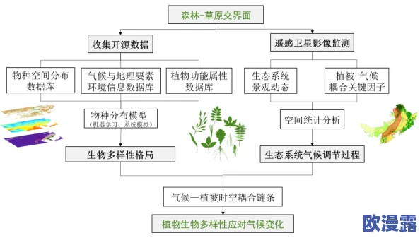 日本XXXXXXX：最新研究显示该地区生态环境变化对生物多样性产生深远影响，专家呼吁加强保护措施以应对挑战
