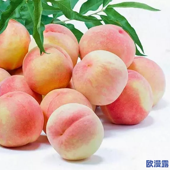 水蜜桃21987:全球首个超级水果品种问世,营养价值翻倍引发市场热潮! 水蜜桃21987:全球首个超级水果品种问世,营养价值翻倍引发市场热潮!