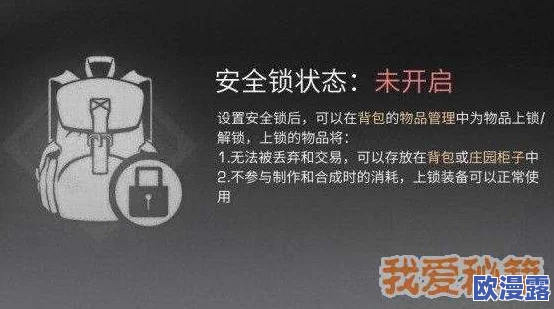 明日之后游戏安全锁高效使用技巧与注意事项全解析