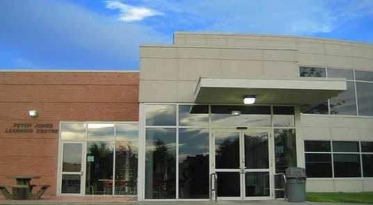 女保险公司销售员3：如何在竞争激烈的市场中脱颖而出，提升业绩与客户满意度的新策略分享