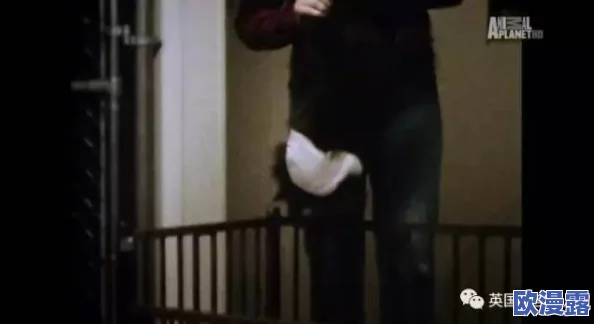 《砂糖自我满足时被旅行者发现小说》引爆热议：意外揭露人类欲望与孤独的深层心理！