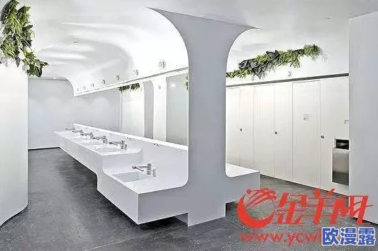 国产精厕新动态：智能化升级与环保技术相结合，推动卫生间革命，引领未来生活新风尚