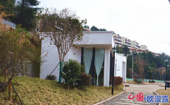 国产精厕新动态：智能化升级与环保技术相结合，推动卫生间革命，引领未来生活新风尚