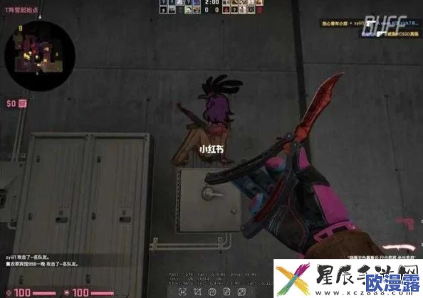暴躁老阿姨csgo:她在游戏中展现出惊人的技巧与幽默,成为玩家们热议的焦点! 暴躁老阿姨csgo:她在游戏中展现出惊人的技巧与幽默,成为玩家们热议的焦点!