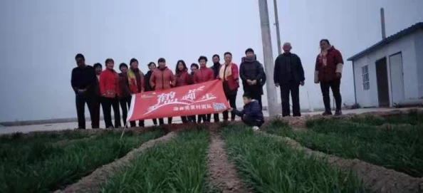 解决黎明之路第三次测试安装出错问题的实用指南 解决黎明之路第三次测试安装出错问题的实用指南