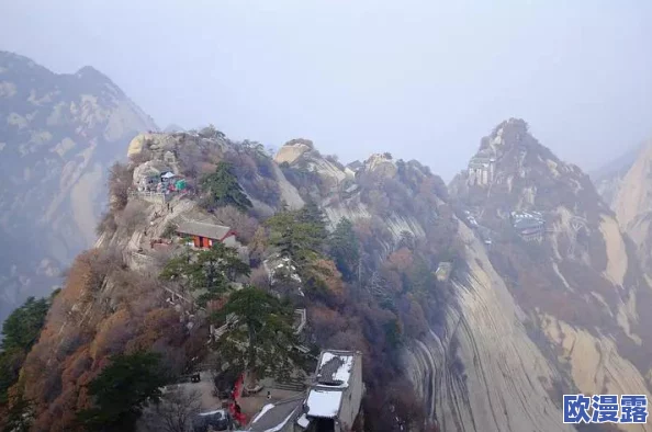 渡劫修仙手游全面剖析：神灵系统详解指南，萌新玩家必看攻略大全