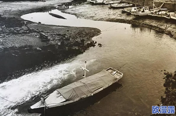 日本69XⅩXXⅩXⅩ18HD:最新动态揭示其在国际市场上的影响力与未来发展趋势分析 日本69XⅩXXⅩXⅩ18HD:最新动态揭示其在国际市场上的影响力与未来发展趋势分析