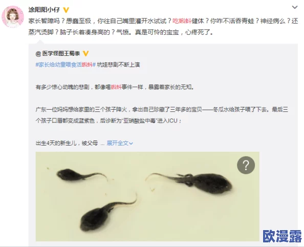 蝌蚪窝视频在线观看：全网热议，惊现神秘视频引发网友疯狂讨论与追捧！