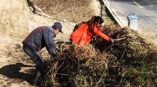 山村大炕乱肉续1-13：惊现神秘事件，村民们的生活被彻底颠覆，真相令人震惊！