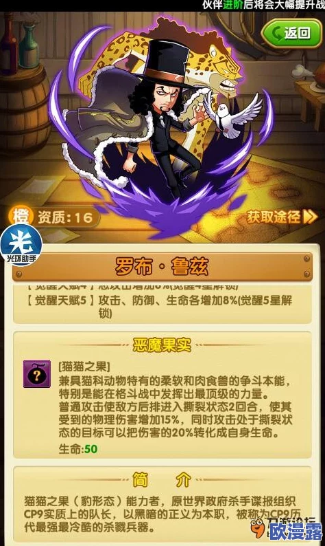 航海王强者之路：深度解析佐罗卡牌属性与实战攻略大全