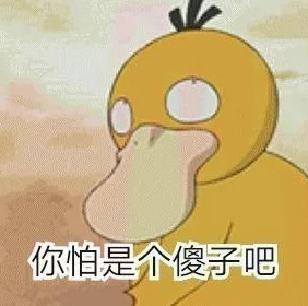 宝可梦大探险全关卡通关秘籍与攻略技巧详细汇总