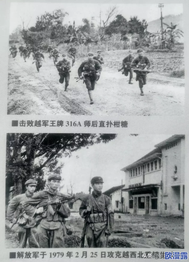 山口山战记手游：深度解析玻璃大炮流养成要领与技巧介绍