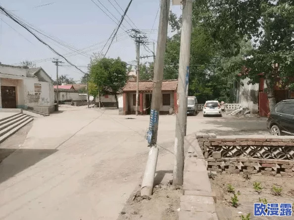 西欧黄图：近期社交媒体上关于西欧地区的文化现象引发热议，网友们纷纷分享相关图片与评论