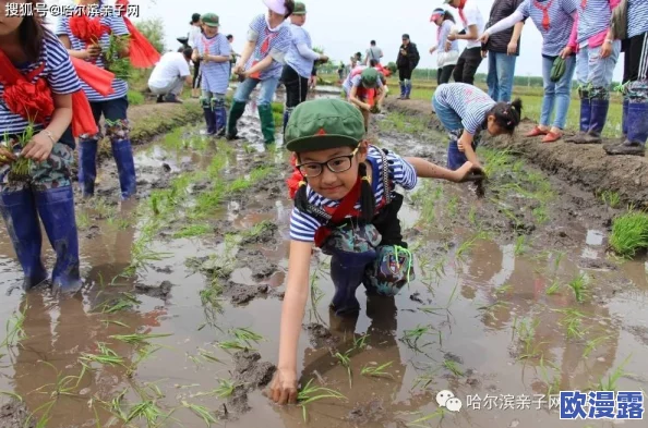日本亲子乱子伦视频引发热议，社会各界对其内容和影响展开讨论，呼吁加强相关法律法规的完善与执行