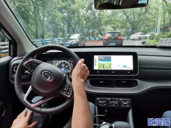 免费大马拉小车网站：网友热议其便捷性与实用性，是否真的能满足用户的多样需求？