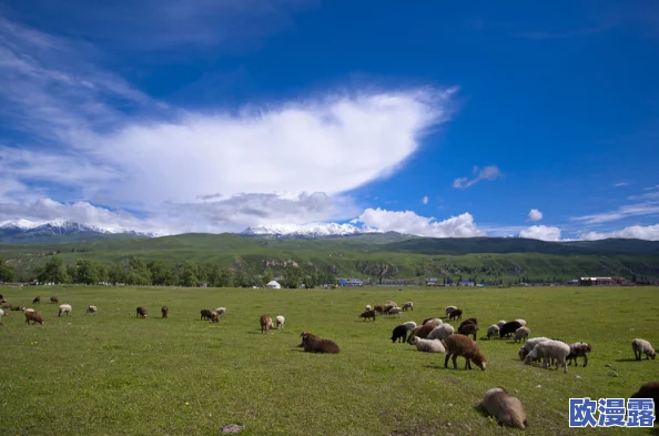 黑料正能量吃瓜曝光：明星私生活大起底，真相令人震惊，背后故事引发热议！