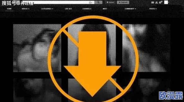 四房播播成人社引发热议，网友热衷讨论其内容与影响，背后隐藏的秘密令人震惊！