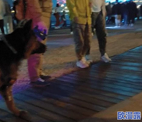 cc耶耶至尊版一直叫摩托摇，最新动态揭示其独特魅力与用户体验的提升，引发广泛关注与讨论