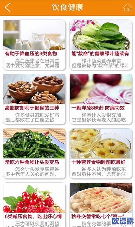 91吃料网在线入口：如何通过这一平台获取最新的美食资讯与优质餐饮服务体验