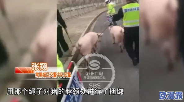 日本无遮挡边吃奶边做刺激视频引发热议,网友讨论其对社会风气的影响及相关法律法规的完善需求 日本无遮挡边吃奶边做刺激视频引发热议,网友讨论其对社会风气的影响及相关法律法规的完善需求