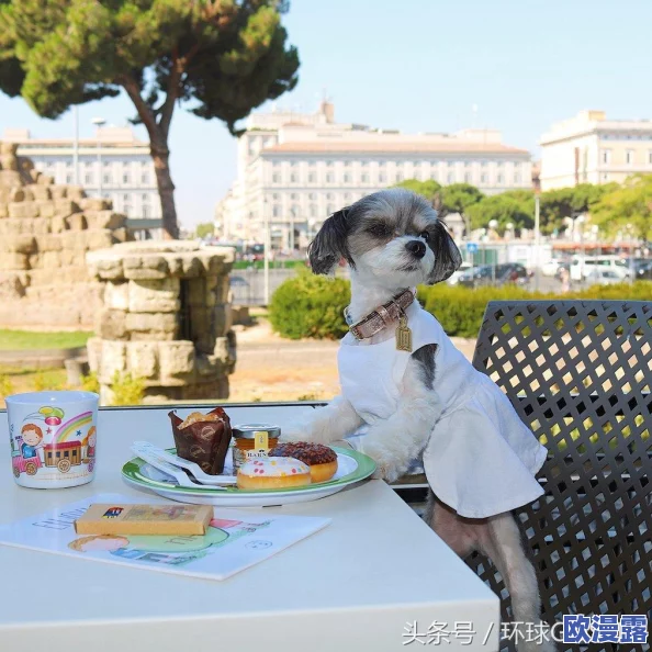 好多水免费!全国范围内推出饮用水免费政策,市民欢呼称赞生活品质大幅提升! 好多水免费!全国范围内推出饮用水免费政策,市民欢呼称赞生活品质大幅提升!
