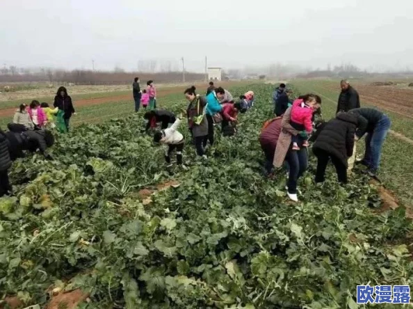 拔萝卜痛又叫黄：新研究揭示其成因与缓解方法，助力健康生活方式的推广与普及