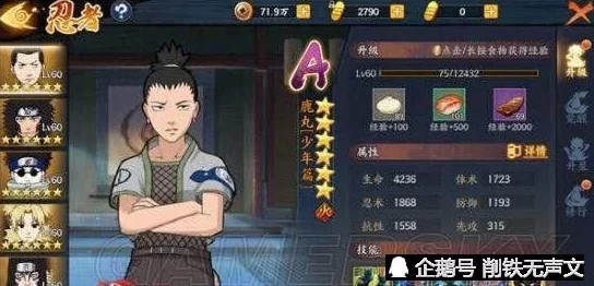 火影忍者OL手游平民玩家必看：风主阵容搭配与忍者培养全攻略
