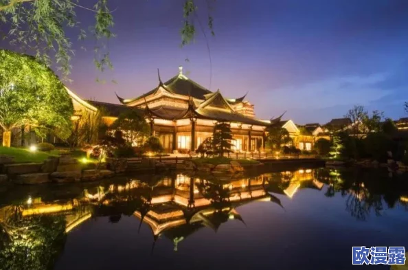 高清精品美女在线播放：最新动态与平台更新，提升用户体验与内容丰富度，引领视听盛宴新潮流