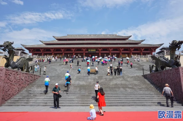 老司机国内精品久久久久：最新动态分析与市场趋势，探讨行业发展及用户需求变化