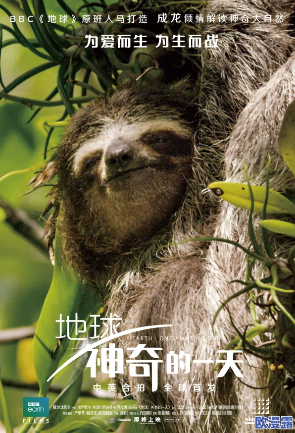 欧美人与动物的奇妙互动：当人类与野生动物亲密接触，惊险瞬间引发热议！
