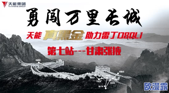 黄绝一级碟片最新进展:新发现揭示其历史背景与文化价值,专家呼吁加强保护与研究工作 黄绝一级碟片最新进展:新发现揭示其历史背景与文化价值,专家呼吁加强保护与研究工作