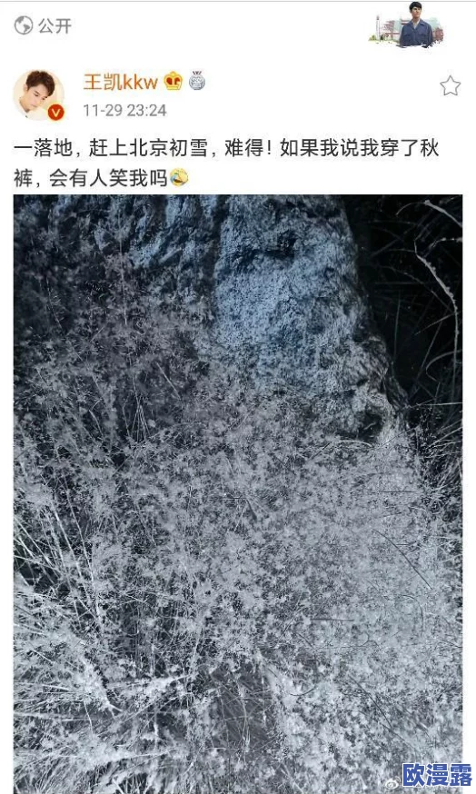 男生草女生视频：最新动态引发热议，网友纷纷讨论其背后的社会问题与性别观念