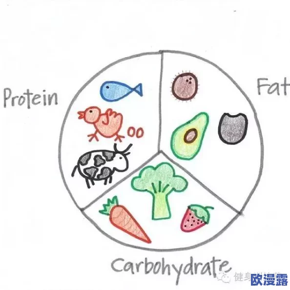 一小时人生：高效食物节约技巧与全面食物获得途径一览指南