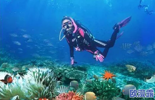 海角:全球首个深海探测器成功下潜,揭开神秘海底世界的面纱! 海角:全球首个深海探测器成功下潜,揭开神秘海底世界的面纱!