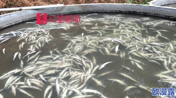 破苞ⅩXX性摘花69XX：最新动态显示该事件引发广泛关注，相关讨论持续升温，各方观点交锋激烈