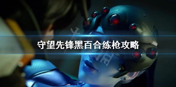 守望先锋黑百合角色技能详解及其特色语音台词介绍