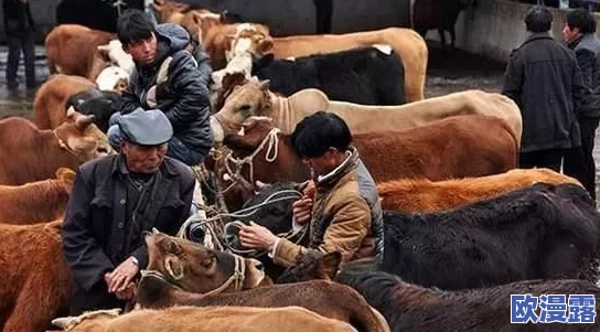 欧美人与牲口杂交在线播放免费视频引发了网友们的热议，许多人对此表示震惊和反感，认为这种内容不应被传播