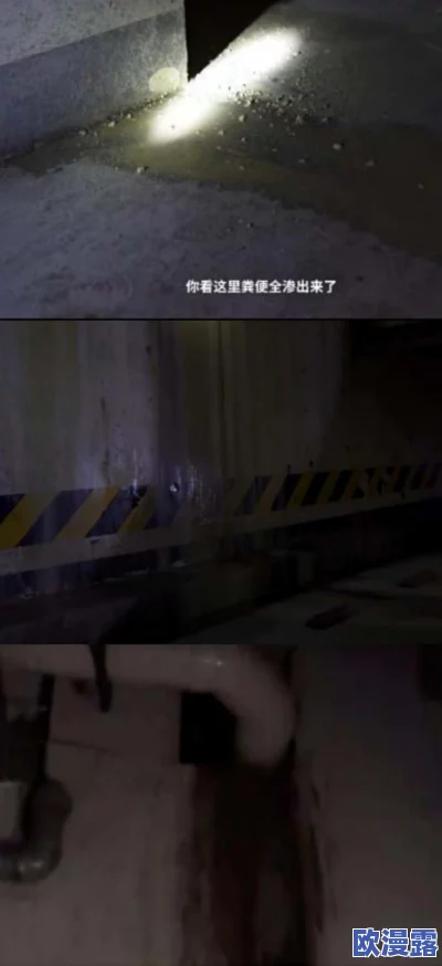 中国在线播放精品区：新动态引发热议，用户体验与内容质量双提升，行业发展前景广阔