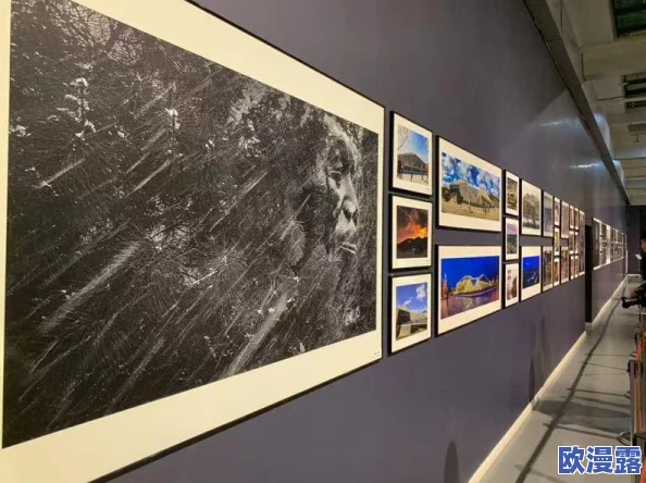 147大但人文艺术20：展现当代艺术与传统文化的完美融合，激发观众对人文精神的深刻思考与感悟