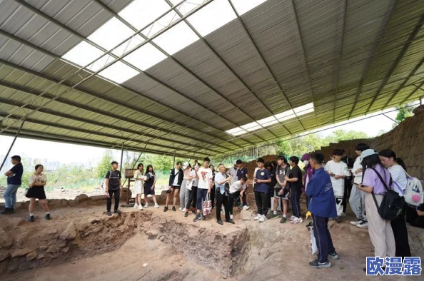 搜古代二类文物新动态：最新考古发现揭示历史遗迹背后的故事与文化价值