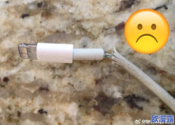 太粗太大太长我受不了了：网友热议新款手机充电线，称其设计不符合日常使用需求，引发广泛讨论