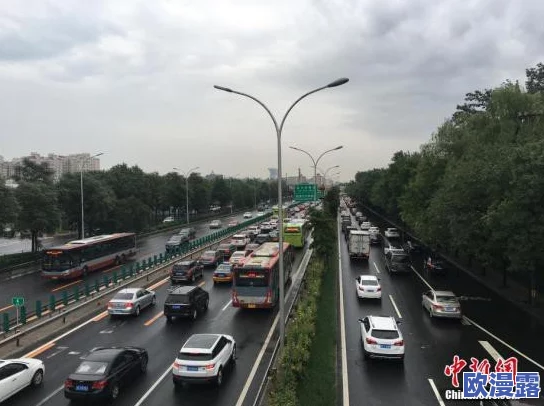 最新动态：福利政策调整引发热议，民众期待更优质的服务与支持措施