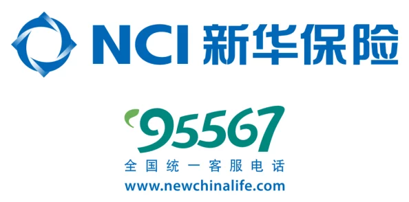 全面解析：霸道天下系统核心功能视频详细讲解指南