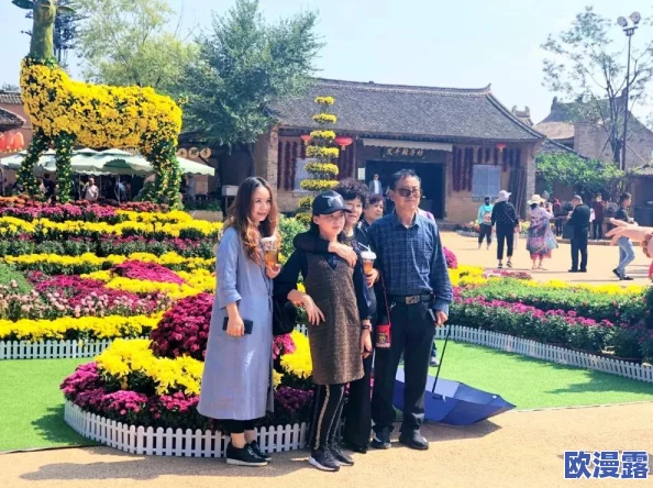 欧美三级电影免费：最新动态与资源分享，畅享多样化的影视体验，满足不同观众的需求与喜好