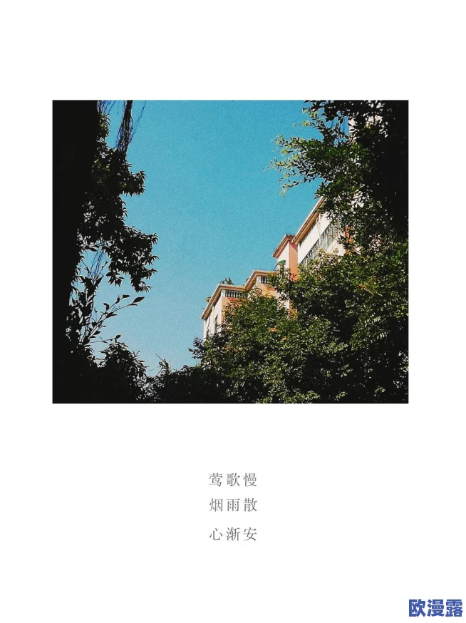 免费ps大片调色视频软件，轻松打造专业级视频效果，提升你的创作水平与视觉体验，让每个瞬间都精彩纷呈！